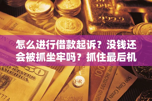 武汉怎么进行借款起诉？没钱还会被抓坐牢吗？抓住最后机会！