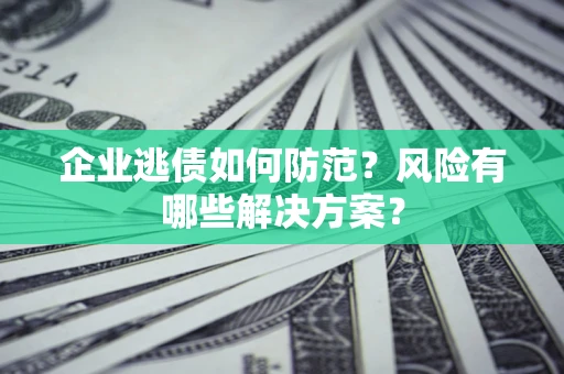 武汉企业逃债如何防范？风险有哪些解决方案？