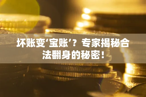 武汉坏账变‘宝账’？专家揭秘合法翻身的秘密！