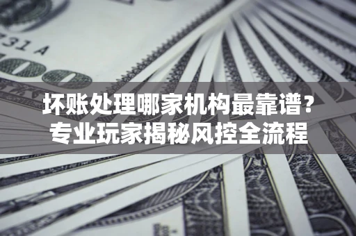 武汉坏账处理哪家机构最靠谱？专业玩家揭秘风控全流程