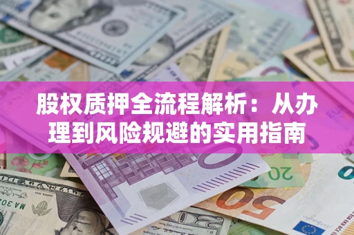 武汉股权质押全流程解析：从办理到风险规避的实用指南