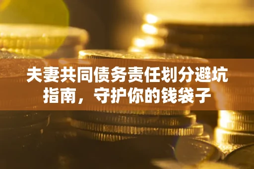 武汉夫妻共同债务责任划分避坑指南，守护你的钱袋子