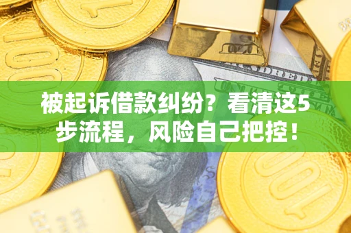 武汉被起诉借款纠纷？看清这5步流程，风险自己把控！