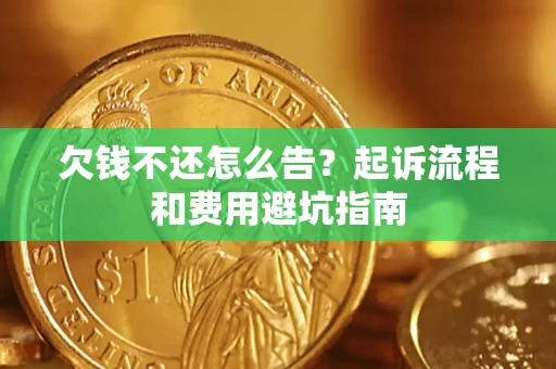 武汉欠钱不还怎么告？起诉流程和费用避坑指南